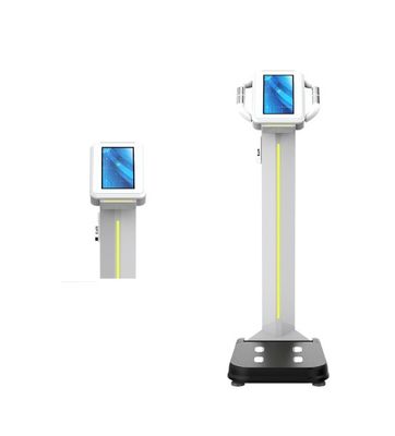 Professionele lichaamsvet spieren BMI machine nauwkeurige gewichtsmeting schaal voor de gezondheid
