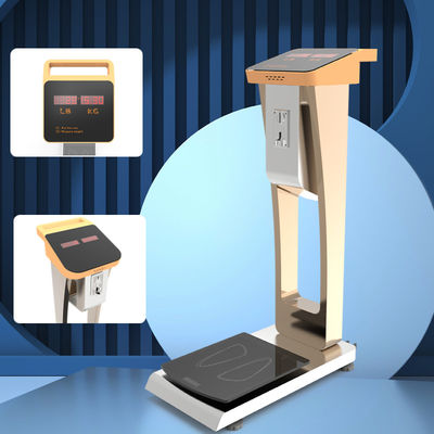 Hotel- en luchthavenmunten 300 kg bagageschaal met LED-display