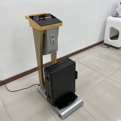 0.1kg Precision Coin Luggage Scale voor het wegen van mensen en bagage bij commerciële verkoop