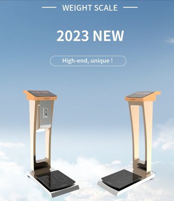 0.1kg Precision Coin Luggage Scale voor het wegen van mensen en bagage bij commerciële verkoop