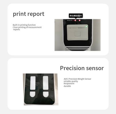 Precision Sensor Folding Height and Weight Scale G.W 31kg Gewichtsverdeling 0,1kg