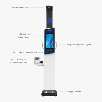 19 &quot;LCD Touch Screen Body Analyzer voor uitgebreide volwassen gewicht en lengte analyse