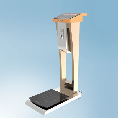 Bagageschaal voor gemakkelijk wegen op vliegvelden Hotels Algemene grootte 33*55*100 cm Gewicht 35 kg